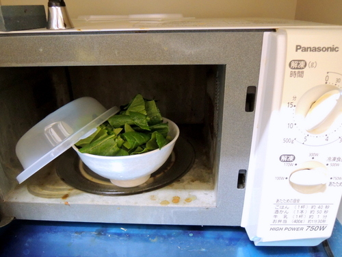 DSCN3670.JPG