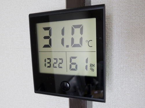 DSCN3964.JPG