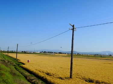 DSCN5632.JPG
