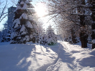 201201a.jpg