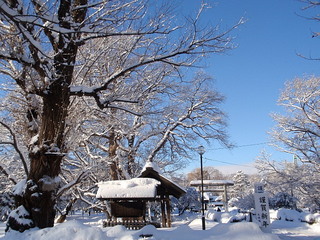 201201b.jpg