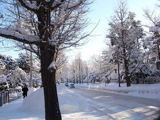 201201c.jpg