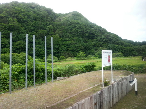 20130721_085245.jpg
