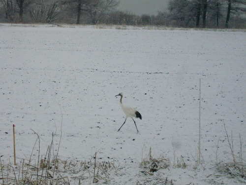 DSC01818.JPG