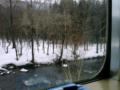 DSC01917.JPG