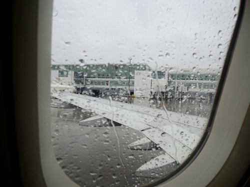 DSCN0049.JPG