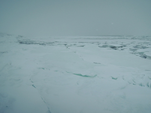 DSCN0233.JPG