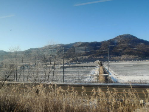 DSCN0234.JPG