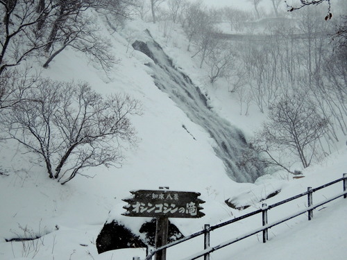 DSCN0341.JPG