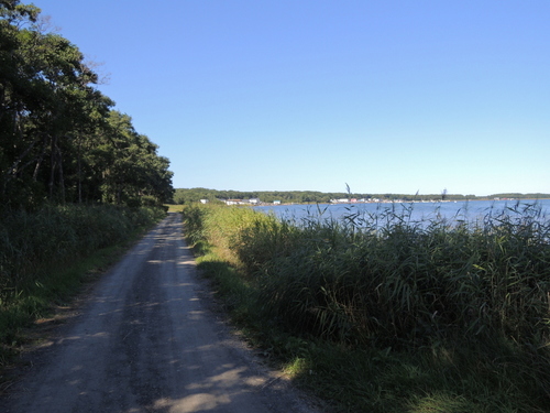 DSCN0542.JPG