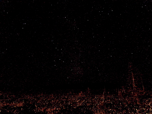 DSCN0705.JPG