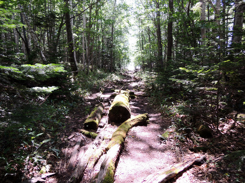 DSCN0763.JPG