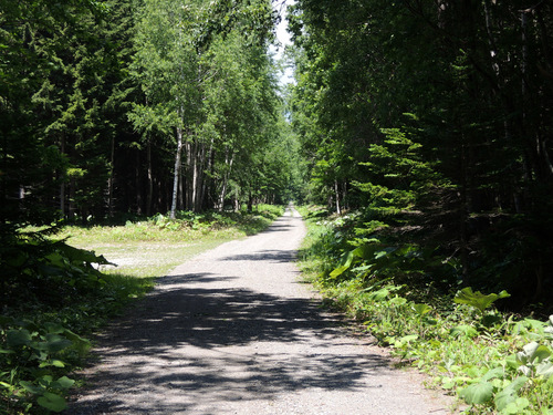 DSCN0826.JPG