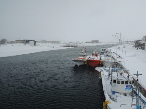 DSCN0880.JPG