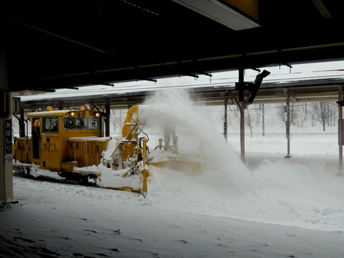 DSCN0942.JPG