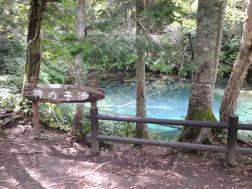 DSCN0979.JPG