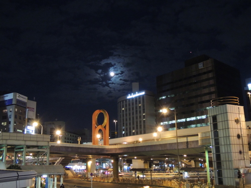 DSCN0981.JPG