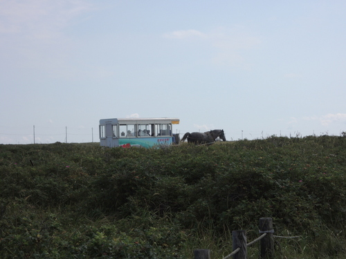 DSCN1204.JPG
