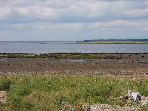 DSCN1208.JPG