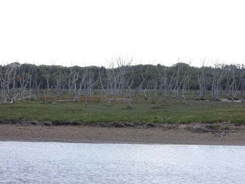 DSCN1226.JPG