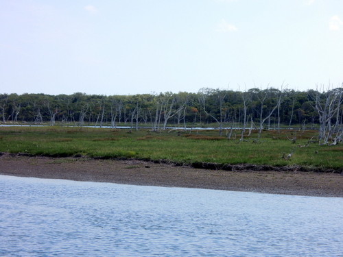 DSCN1227.JPG