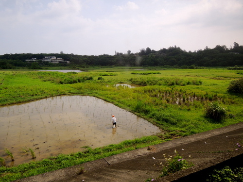 DSCN1584.JPG
