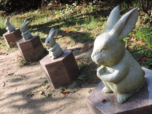DSCN1647.JPG