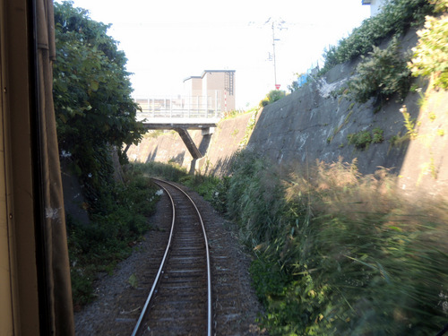DSCN1794.JPG