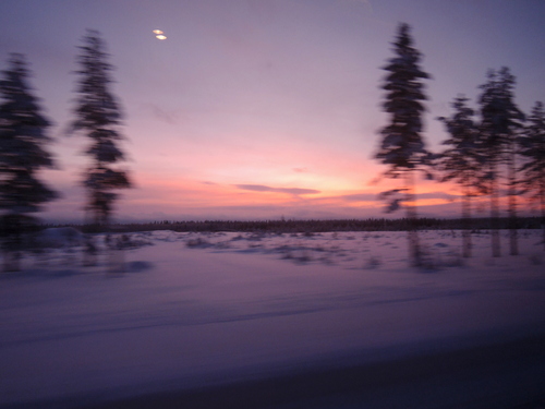 DSCN2185.JPG