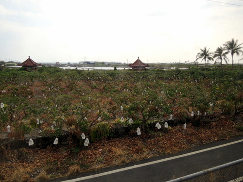 DSCN2299.JPG