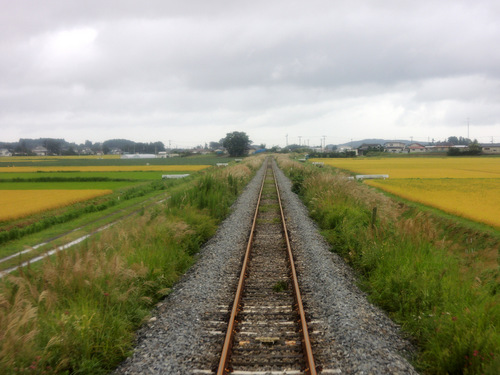 DSCN2674.JPG
