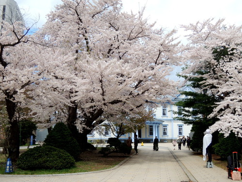 DSCN3383.JPG