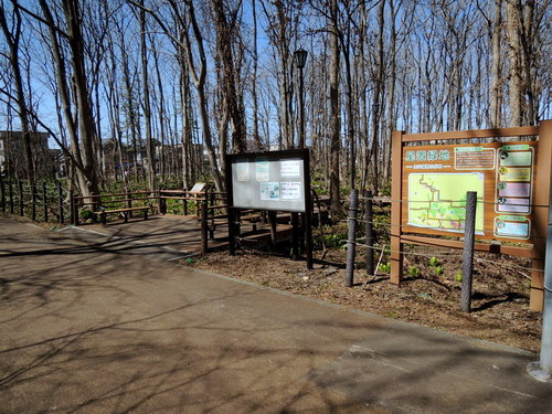 DSCN6364.JPG