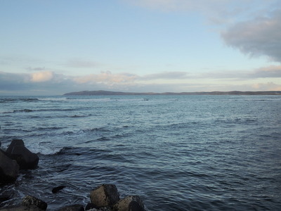 DSCN6463.jpg
