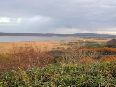 DSCN6468.jpg