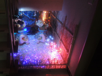DSCN6523.jpg