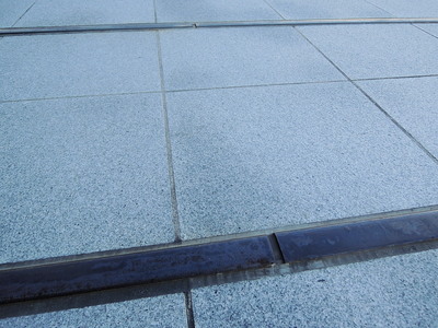 DSCN6598.jpg