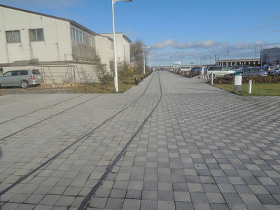 DSCN6599.jpg