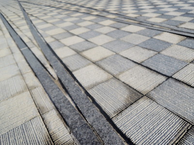 DSCN6610.jpg