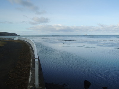 DSCN6633.jpg