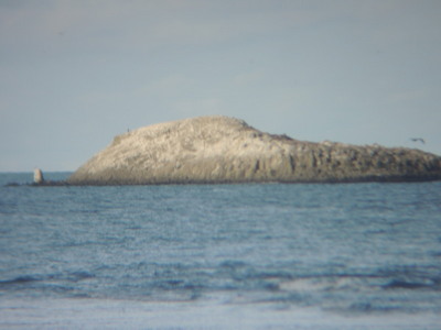 DSCN6665.jpg