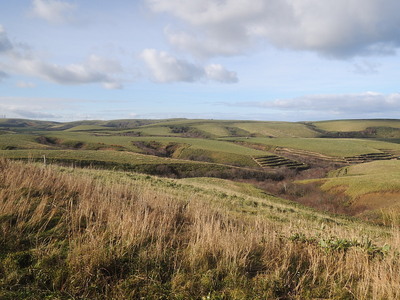 DSCN6679.jpg