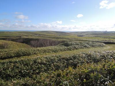 DSCN6684.jpg