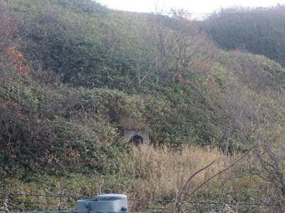 DSCN6692.jpg