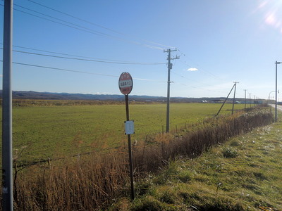 DSCN6736a.jpg