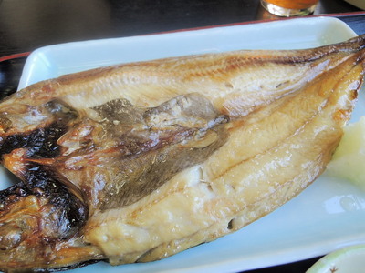 DSCN6744.jpg