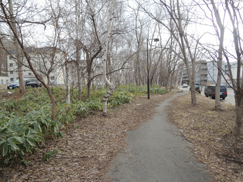 DSCN7433.JPG