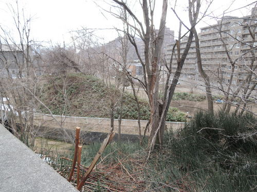 DSCN7463.JPG