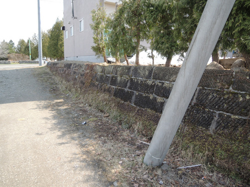 DSCN7695.JPG