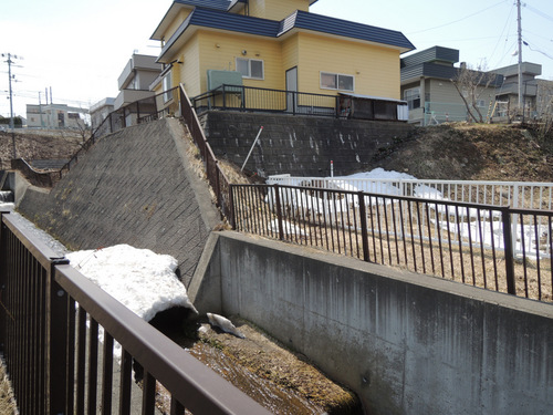 DSCN7716.JPG